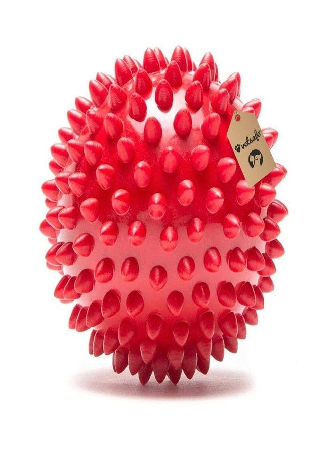VetSafe Natural Rubber Spike Ball - 2.5inch/ 6.35cm | Suitable for Small to Medium Dogs and Puppies | Chewing, Teething, and Training Bouncy Ball Toy - Image 1